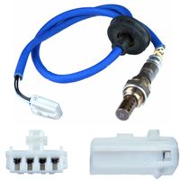 Oxygen Sensor