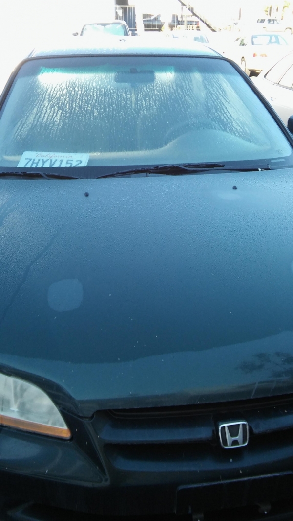 Honda Accord 2000 For Sale in Dana Point, CA - Salvage Cars