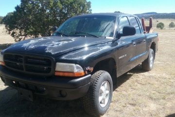 Junk 2000 Dodge Dakota Photography