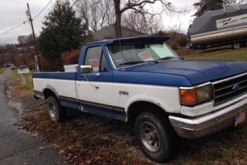 Junk 1995 Ford F-150 Photography