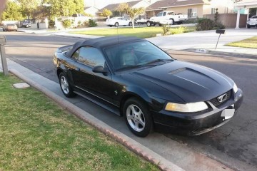 Junk 2000 Ford Mustang Photo