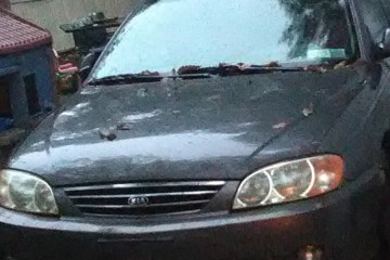 Kia Spectra 2002