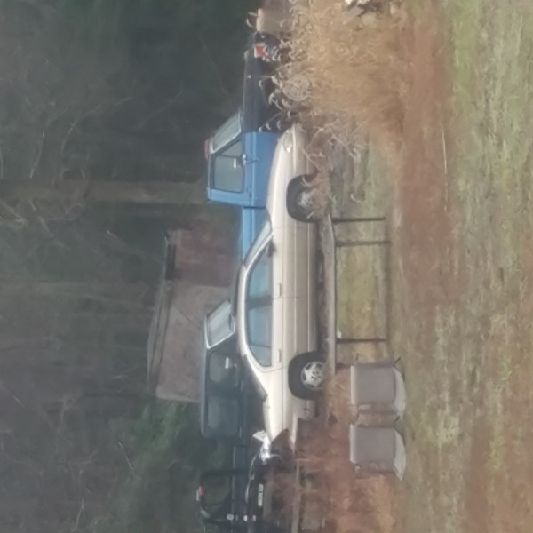 1996 Chevrolet Lumina For Sale in Hebron, MD Salvage Cars