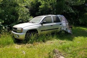 Junk 2007 Chevrolet TrailBlazer Image