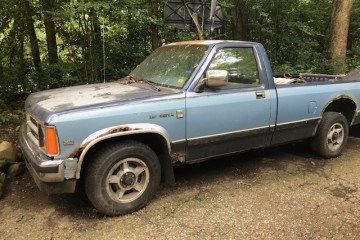 Junk 1990 Dodge Dakota Photography