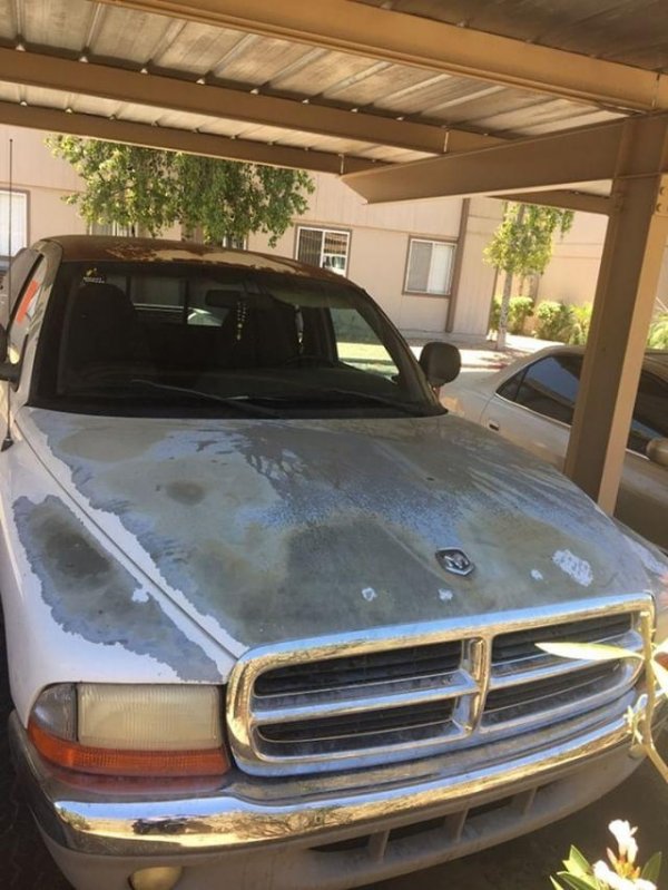 dakota dodge 1997 salvage cars