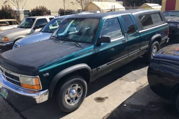 Junk 1994 Dodge Dakota Photography