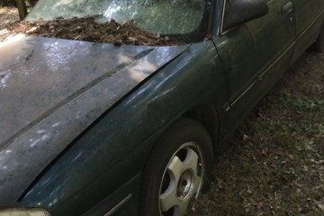 1997 Chevrolet Lumina - Photo 1 of 2