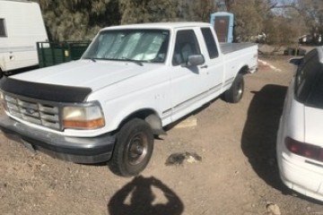 Junk 1994 Ford F-150 Photo