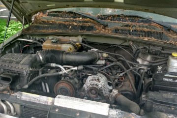 Junk 2006 Jeep Liberty Photo