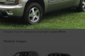 Junk 2009 Chevrolet TrailBlazer Image