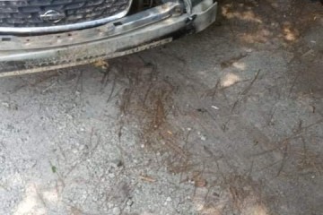 2004 Nissan Sentra
