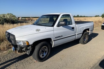 Junk 1995 Dodge Ram Pickup 1500 Photography