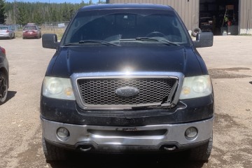 Junk 2006 Ford F-150 Image