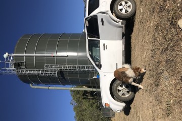 Ford Escape 2008