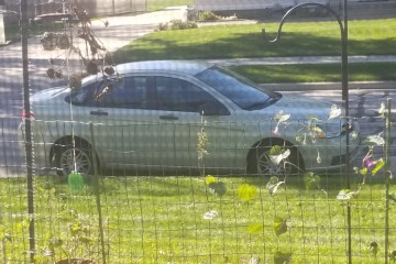 2010 Ford Focus