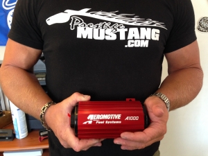 Prestige Mustang (Image 2 of 3)