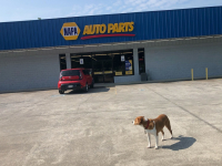 Rome Auto Parts & Supply