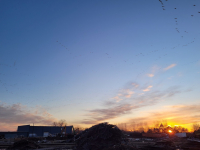 Alter Metal Recycling - Waterloo