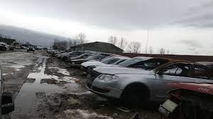 TIGER AUTO SALVAGE (Image 4 of 4)