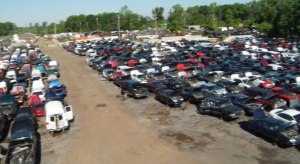 Taylor Auto Salvage (Image 3 of 4)