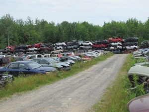 Capital City Auto Parts (Image 3 of 4)