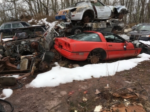 Fast Eddie's Auto Wreckers (Image 4 of 4)