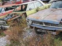 Ivy Bluff Auto Salvage