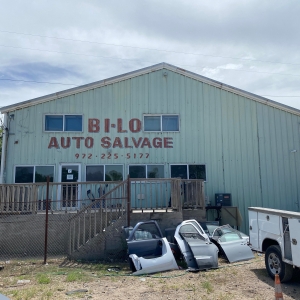 Bi-Lo Auto Salvage