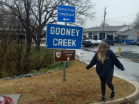 Gooney Creek Salvage