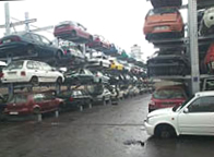 Advantage Auto Stores
